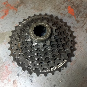 Piñon Shimano 8v HG31